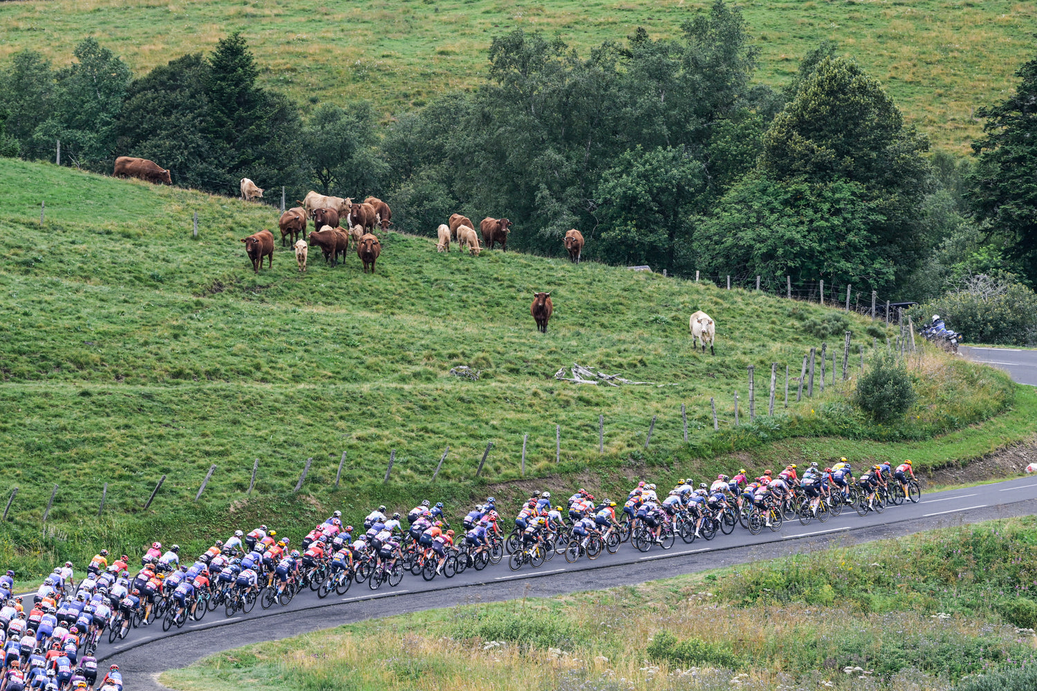 Descubrir el ciclismo femenino desde dentro del pelotón del Tour