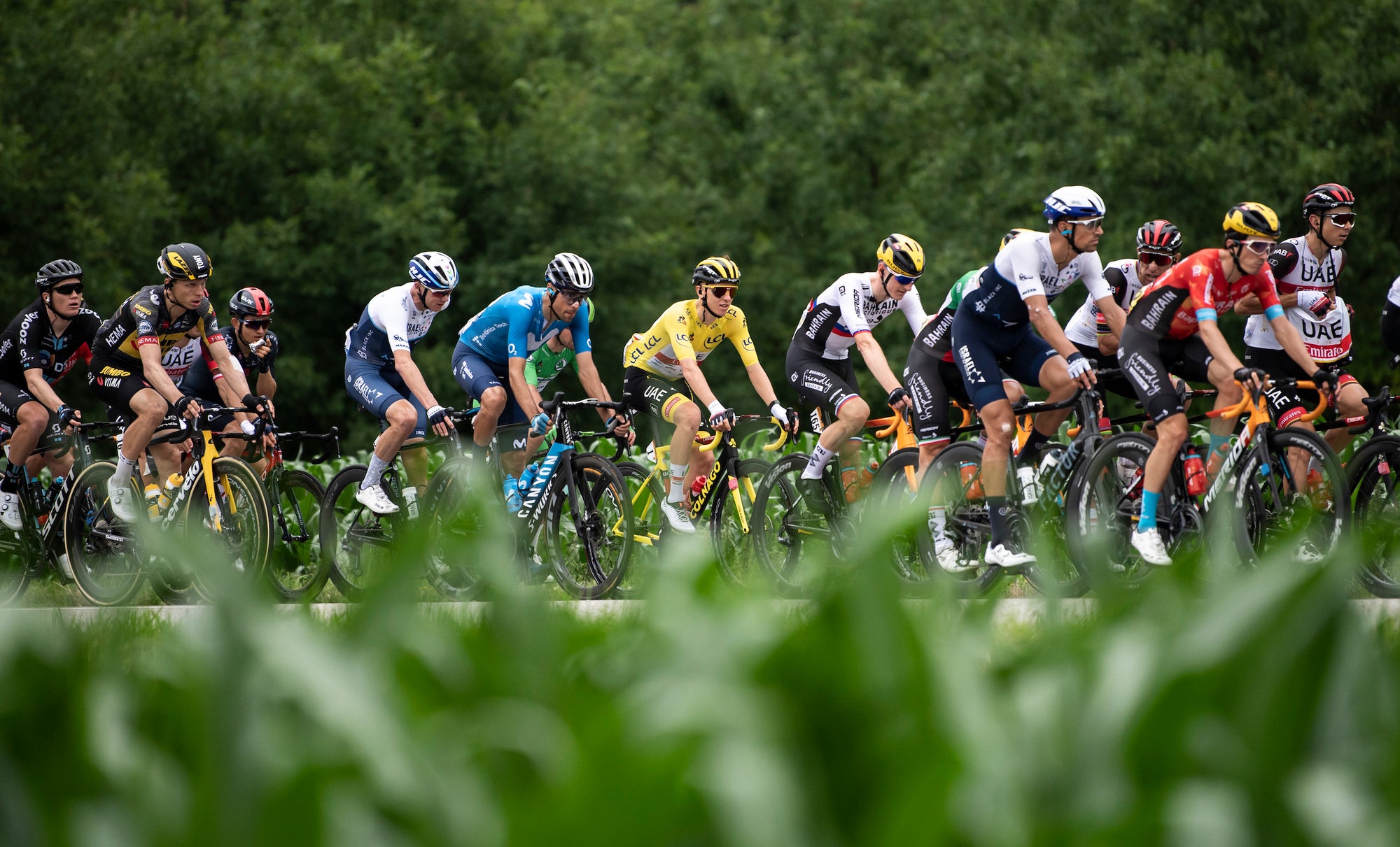 Tadej Pogacar in the yellow jersey at the 2021 Tour de France