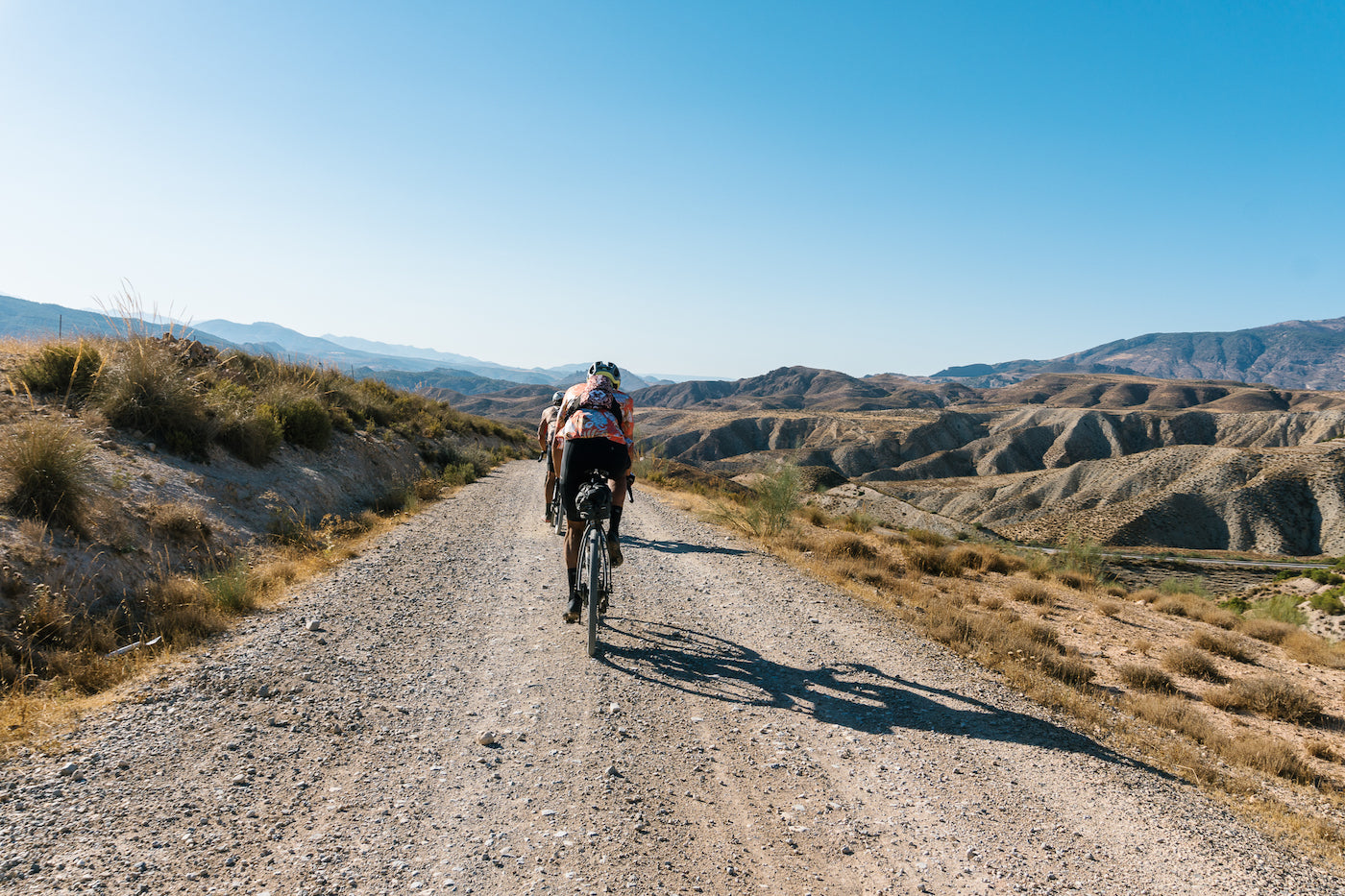 Continental Terra Trail 700x40: versatilidad y protección para la larga distancia