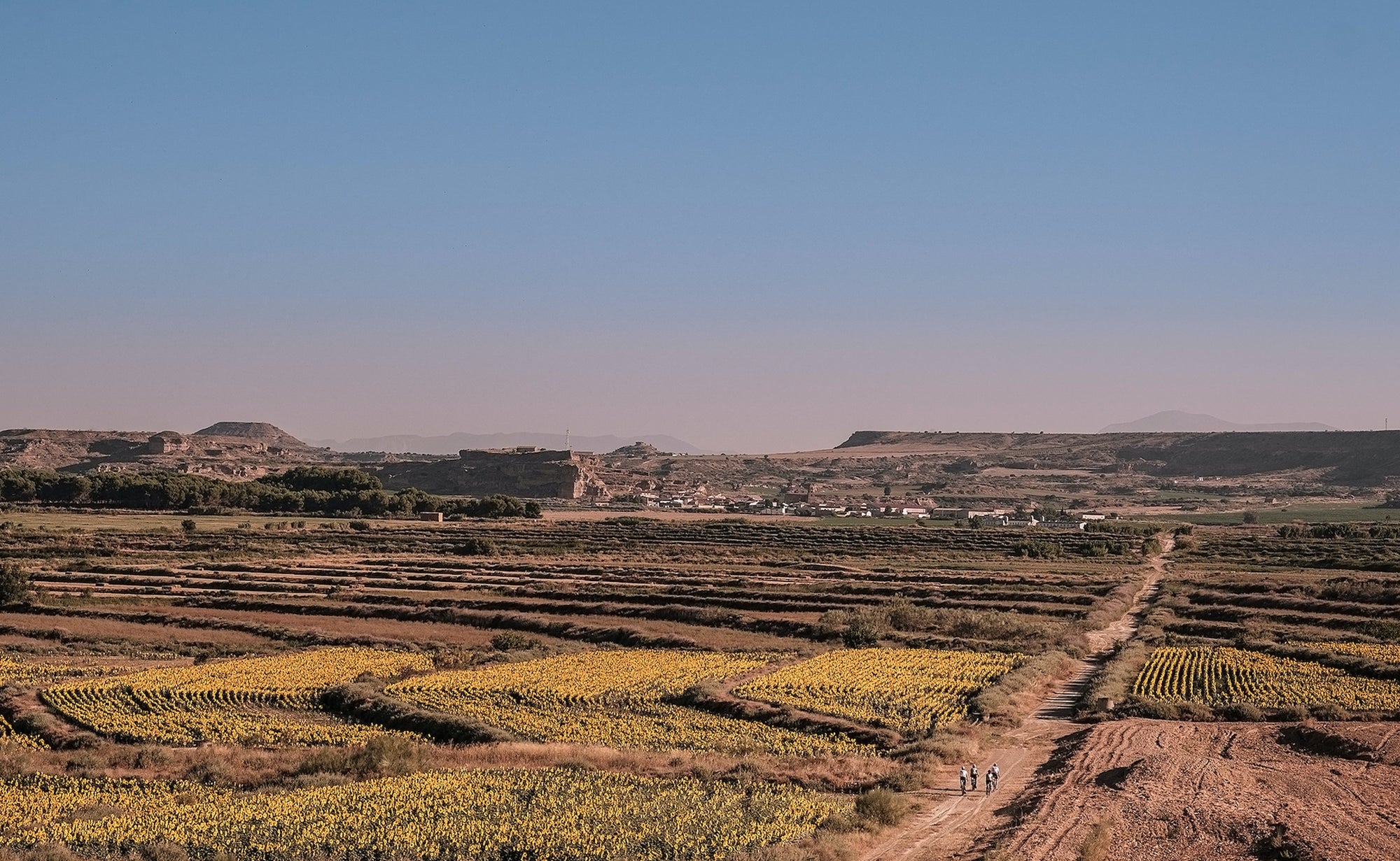 Monegros, el desierto vivo de Europa