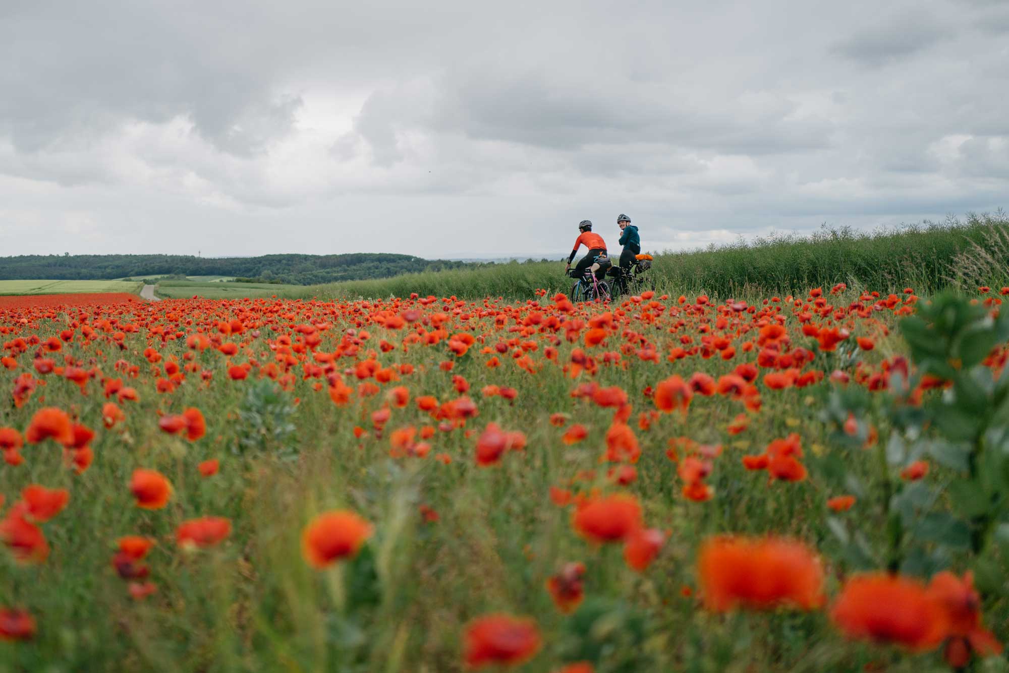 Explore: West to East Germany with Liam Yates