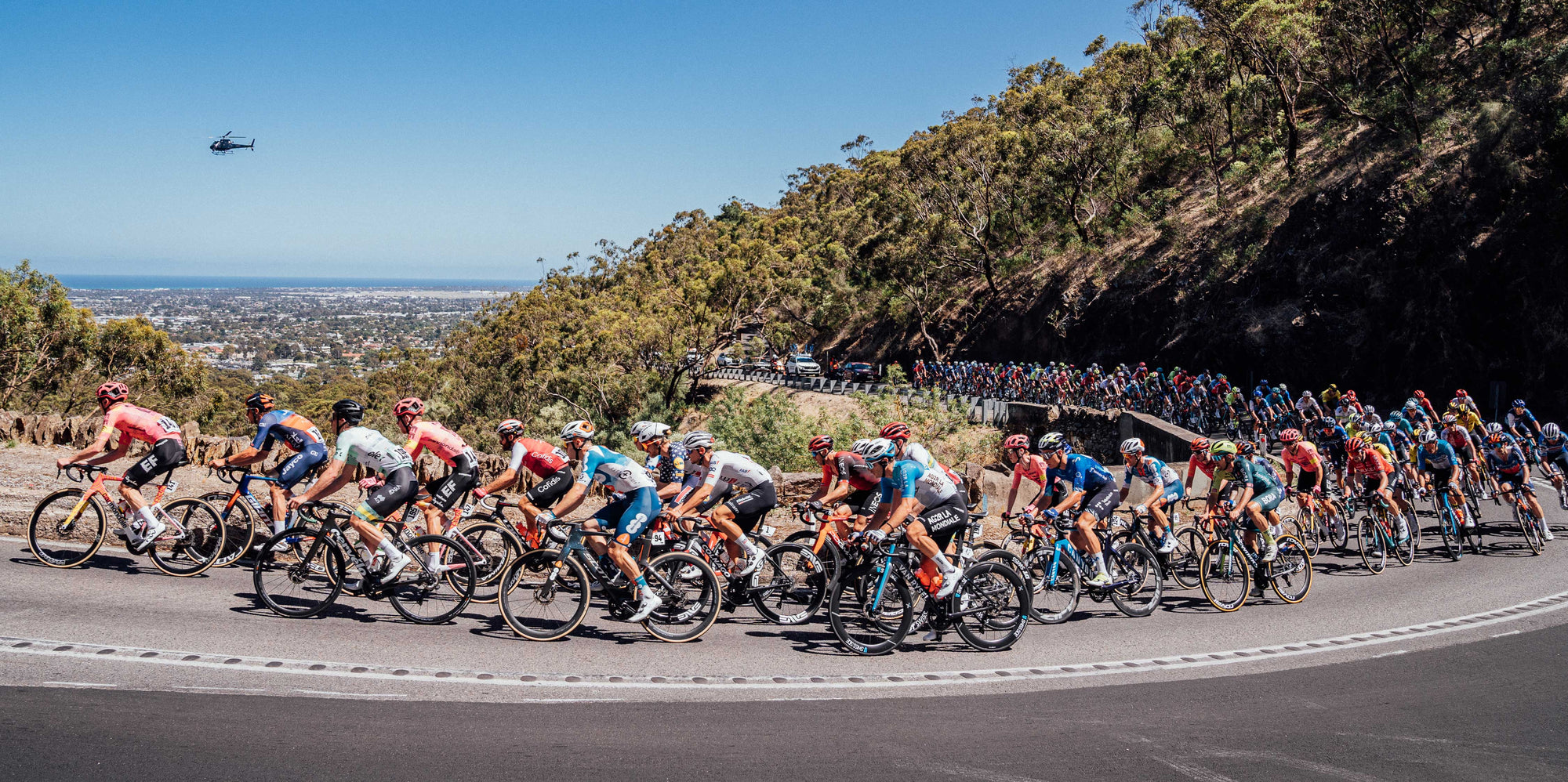 Anteprima | Tour Down Under maschile 2025 - Chi vincerà?